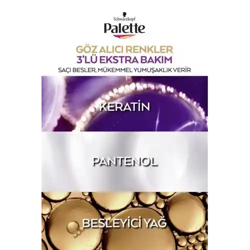 Palette Göz Alıcı Renkler Saç Boyası 10-1 Frosty Silver Paket 2li