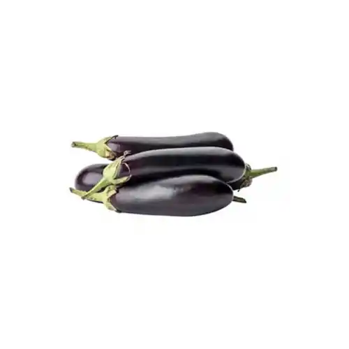 Patlıcan Kg
