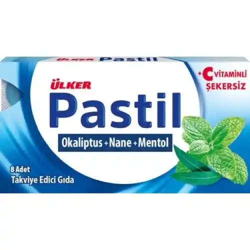Ülker Pastil Oka.men.nane22,4g