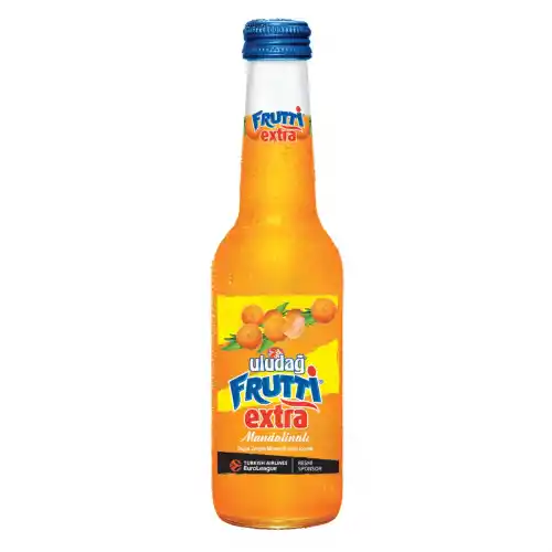 Uludağ Frutti Extra Mandalina 250ml