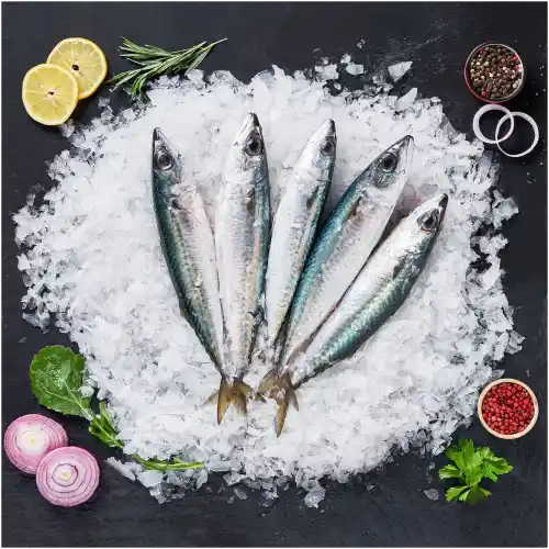 Uskumru (kolyos) balık Kg