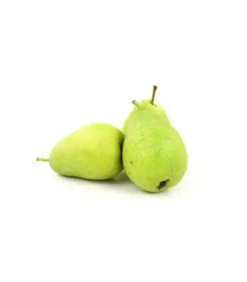 Armut Kg