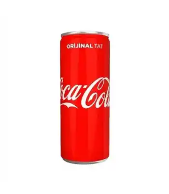 Coca Cola 250 Ml Kutu
