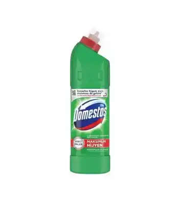 Domestos 806 Gr Dağ Esintisi
