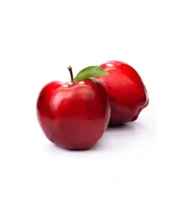 Elma Kg
