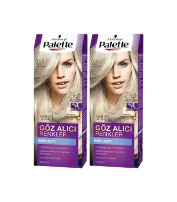 Palette Göz Alıcı Renkler Saç Boyası 10-1 Frosty Silver Paket 2li