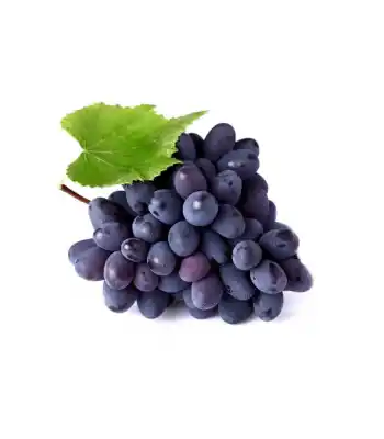 Siyah Üzüm Çekirdeksiz Kg
