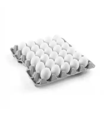 Tarım Gıda Yumurta 30lu M