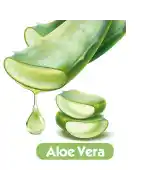Baby Turco Islak Mendil Aloevera 90lı Koli 24lü