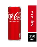 Coca Cola 250ml Kutu