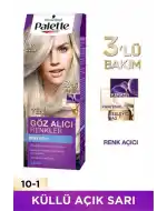 Palette Göz Alıcı Renkler Saç Boyası 10-1 Frosty Silver Paket 2li