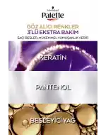 Palette Göz Alıcı Renkler Saç Boyası 10-1 Frosty Silver Paket 2li