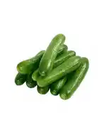 Silör Salatalık Kg