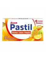 Ülker Pastil Ihl.lim.prop.22,4gr