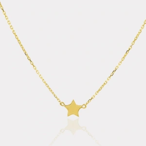 14 Ayar Altın Yıldız Kolye