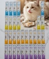 Krem Kedi Ödül Maması Karışık Tatlar 15 gr x 40