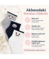 Kadın Panda Desenli Kısa Konç Çorap 3lü | %80 Pamuklu Dikişsiz, Siyah Beyaz Gri