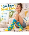 Renkli Civciv Desenli Unisex Çorap 3lü Set | Yumuşak, Esnek, Konforlu ve Günlük Kullanıma Uygun