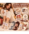 Kadın Ayıcık Desenli Yumoş Patik Çorap 4lü Set Peluş Yumuşak Sıcak Parfümlü Kışlık Rahat Çorap Seti