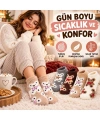 Kadın Ayıcık Desenli Yumoş Patik Çorap 8li Set Peluş Yumuşak Sıcak Parfümlü Kışlık Rahat Çorap Seti