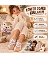 Kadın Ayıcık Desenli Yumoş Patik Çorap 8li Set Peluş Yumuşak Sıcak Parfümlü Kışlık Rahat Çorap Seti