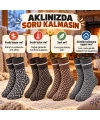 Erkek Kışlık Desenli Çorap 4lü Seti Sıcak Tutan Yumuşak Rahat Günlük Renkli Uzun Soket Çorap Paketi