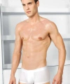 Erkek Modal Klasik Kısa Paça Boxer - SSSSSS8368-5537