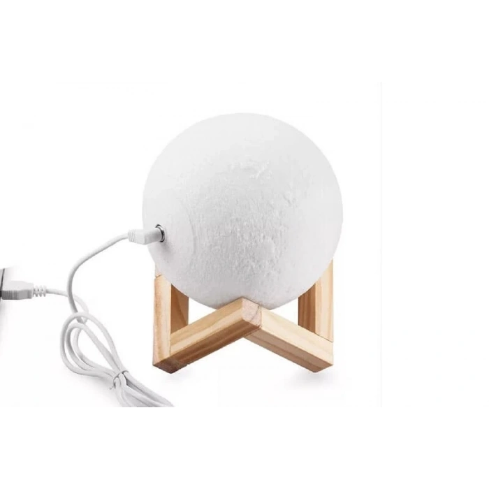 Marchè Bien Dekoratif Yerküre 15cm Pilli Lamba ( Lisinya )