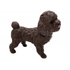 Marchè Bien Soft Köpekler - Poodle Cinsi Köpek - E013 (Lisinya)