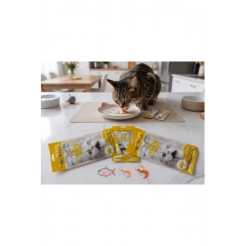KEDİ ÖDÜL KREMA SOMON & ANTARTİKA KRİLLİ 15g 4 lü paket x3 adet