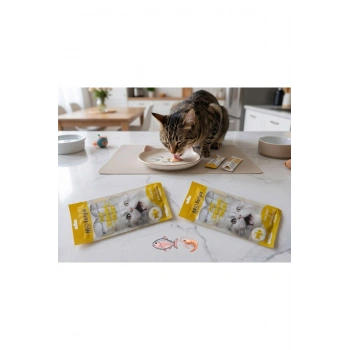 KEDİ ÖDÜL KREMA SOMON & ANTARTİKA KRİLLİ 15g 4 lü paket x2 adet