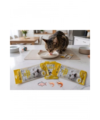 KEDİ ÖDÜL KREMA SOMON & ANTARTİKA KRİLLİ 15g 4 lü paket x3 adet