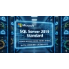 Microsoft SQL Server 2019 Standard Lisans Anahtarı