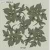 Reyyan İpek 100 cm Desenli Oyalık Yazma (ryyn-442-06)