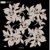 Reyyan İpek 100 cm Desenli Oyalık Yazma (ryyn-442-19)