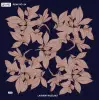 Reyyan İpek 100 cm Desenli Oyalık Yazma (ryyn-442-23)