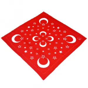 AyYıldız Elmina Polyester Oyalık Yazma