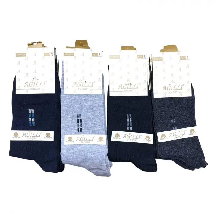 Ağıllı Erkek Dikişsiz Soket Çorap 12 Adet-(EÇ02-04)