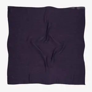 Picasso Düz Pırıltı Kehribar Eşarp Mor (ry9907)