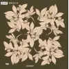 Reyyan İpek 100 cm Desenli Oyalık Yazma (ryyn-442-05)