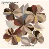 Reyyan İpek 100 cm Oyalık Yazma (ryyn-390-23)