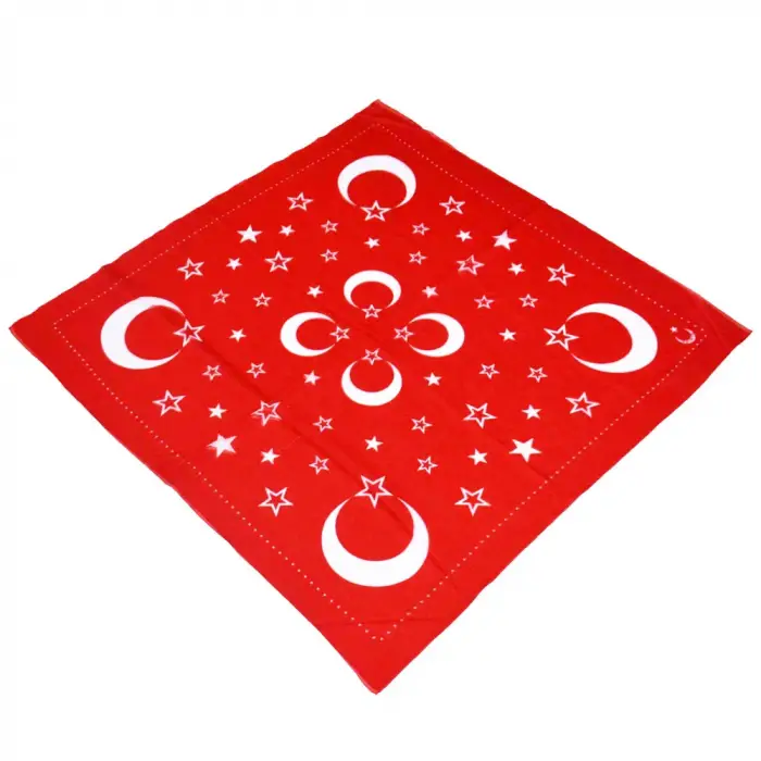 AyYıldız Elmina Polyester Oyalık Yazma