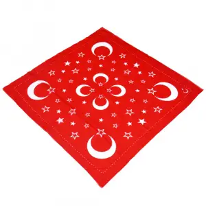 AyYıldız Elmina Polyester Oyalık Yazma