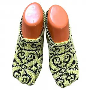 Kadın Patik Çorap (PT-82-10)