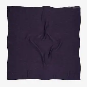 Picasso Düz Pırıltı Kehribar Eşarp Mor (ry9907)