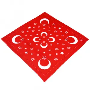 AyYıldız Elmina Polyester Oyalık Yazma