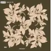 Reyyan İpek 100 cm Desenli Oyalık Yazma (ryyn-442-05)