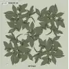 Reyyan İpek 100 cm Desenli Oyalık Yazma (ryyn-442-06)