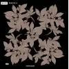 Reyyan İpek 100 cm Desenli Oyalık Yazma (ryyn-442-20)