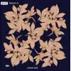 Reyyan İpek 100 cm Desenli Oyalık Yazma (ryyn-442-24)